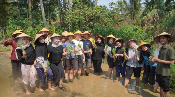 Mahasiswa menanam padi di sawah Desa Wisata Lerep